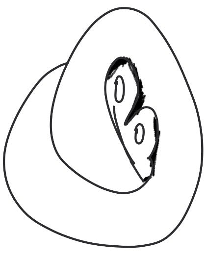 Buonodor
